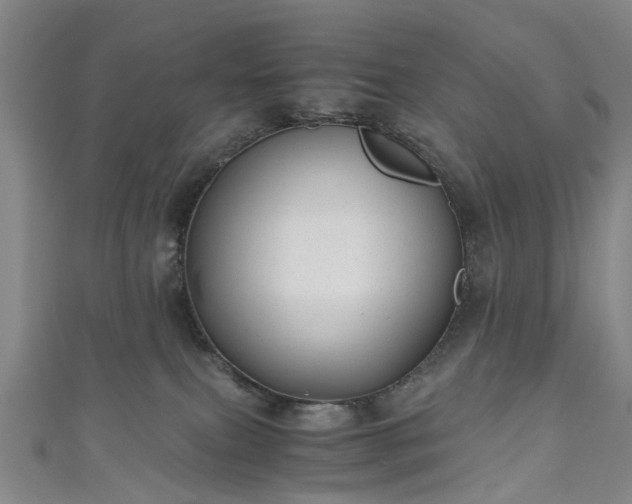 X0000111010087200906261529