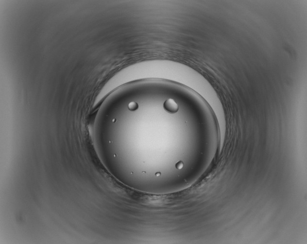 X0000111010088200906261529