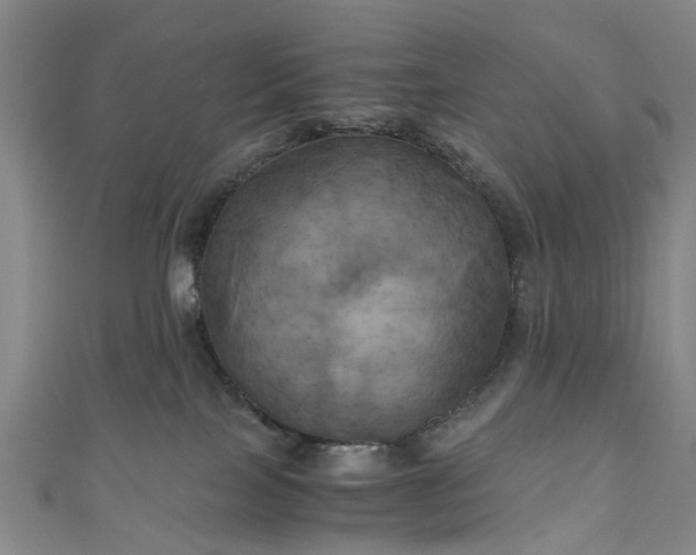X0000111010089200906261529