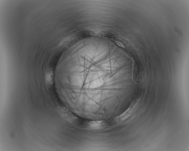 X0000111010090200906261529