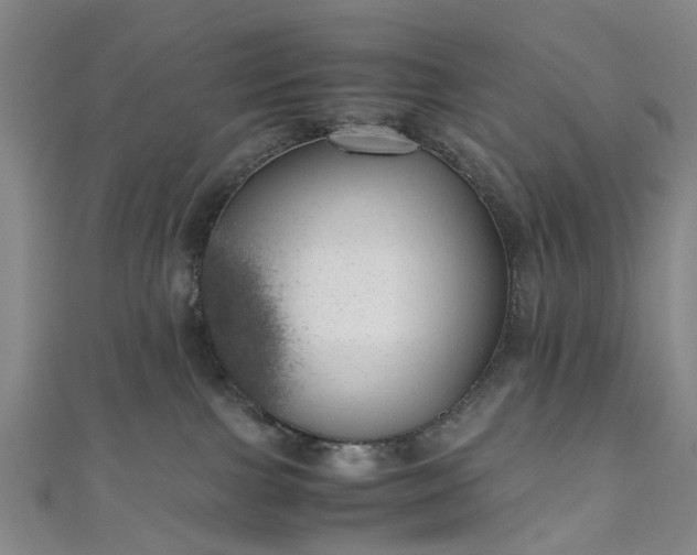 X0000111010091200906261529