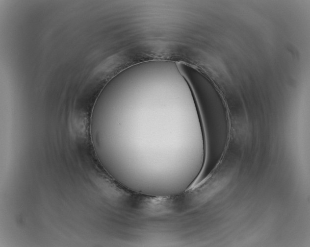 X0000111010092200906261529
