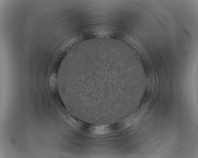 X0000111010093200906261529