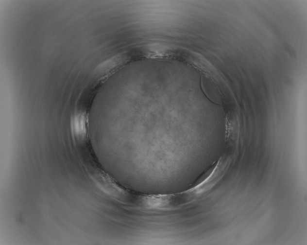 X0000111010094200906261529