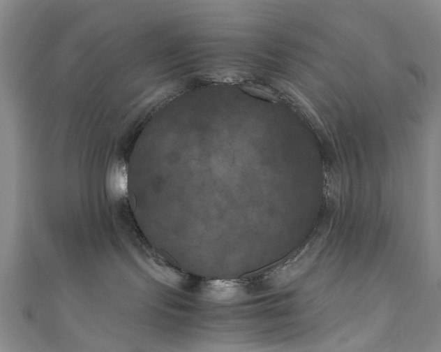 X0000111010095200906261529