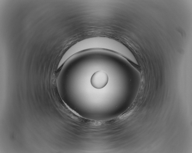 X0000111010096200906261529