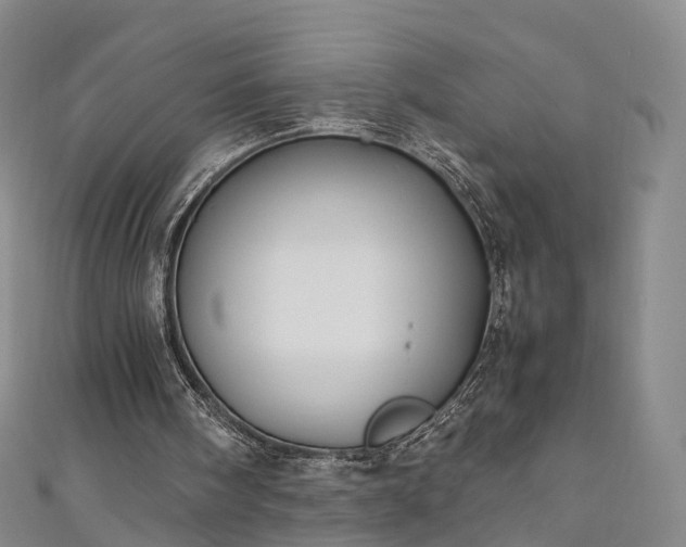 X0000111010098200906261528