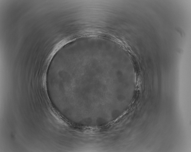 X0000111010099200906261528