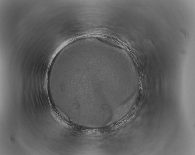 X0000111010100200906261528