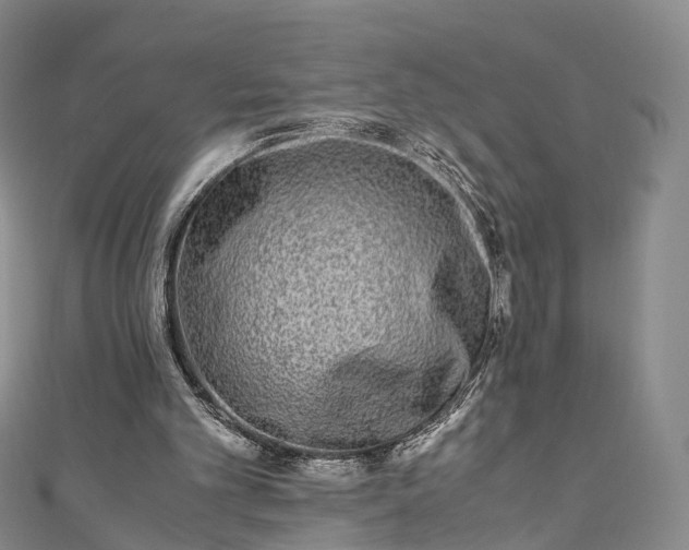 X0000111010101200906261528