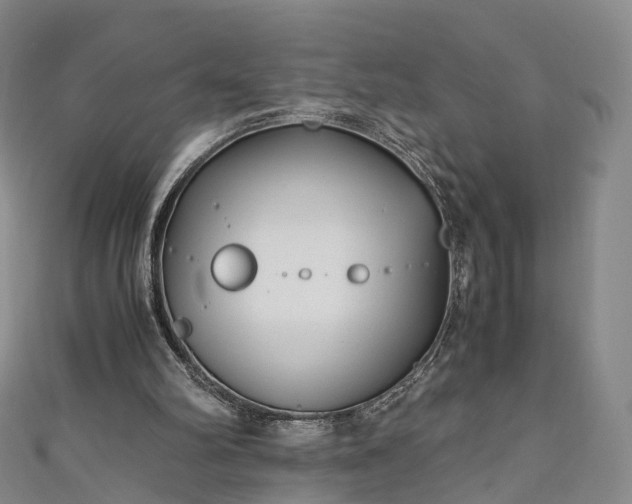 X0000111010102200906261528