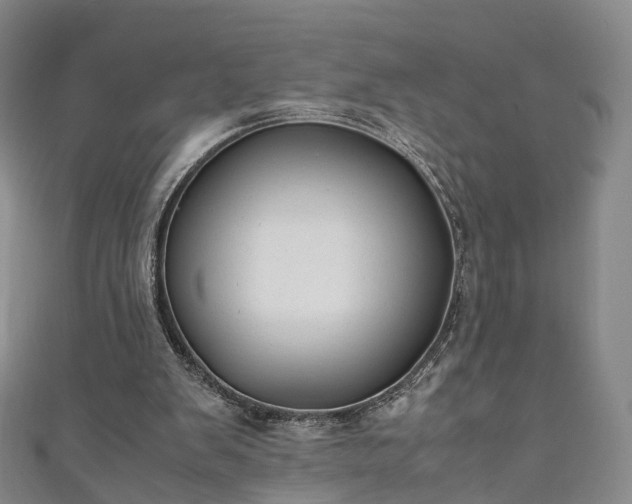 X0000111010103200906261528