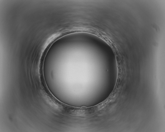 X0000111010104200906261528