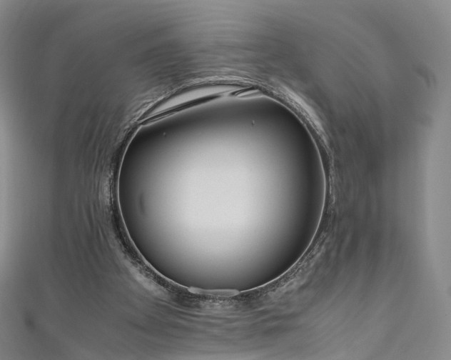 X0000111010105200906261528