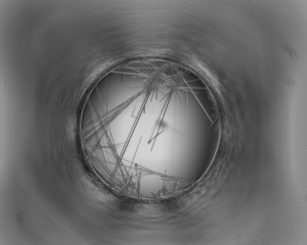 X0000111010107200906261528