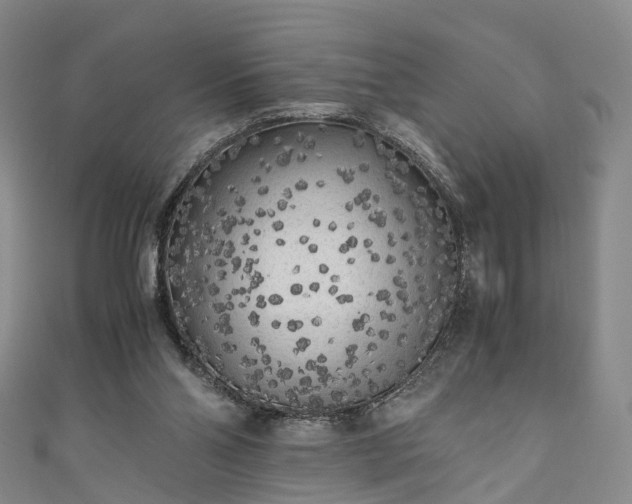 X0000111010110200906261528