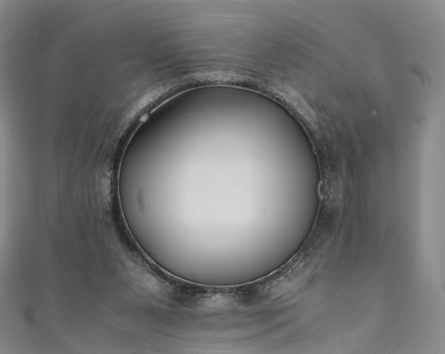 X0000111010111200906261528