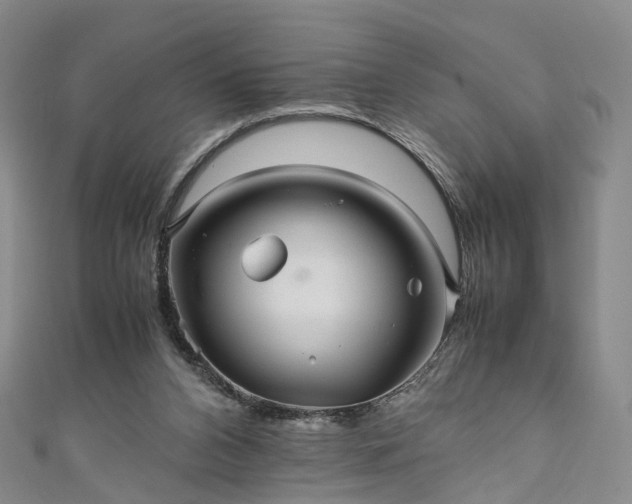 X0000111010112200906261528
