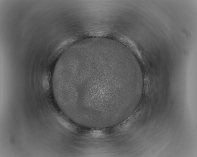 X0000111010114200906261528