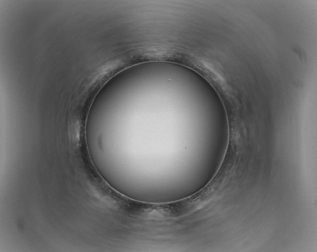 X0000111010115200906261528