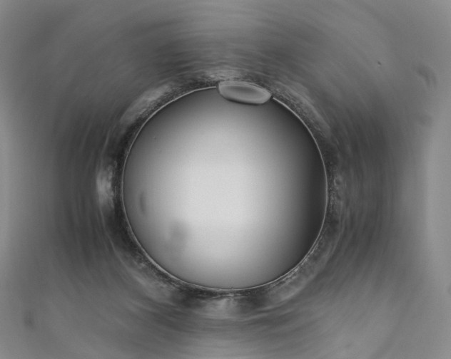 X0000111010116200906261528