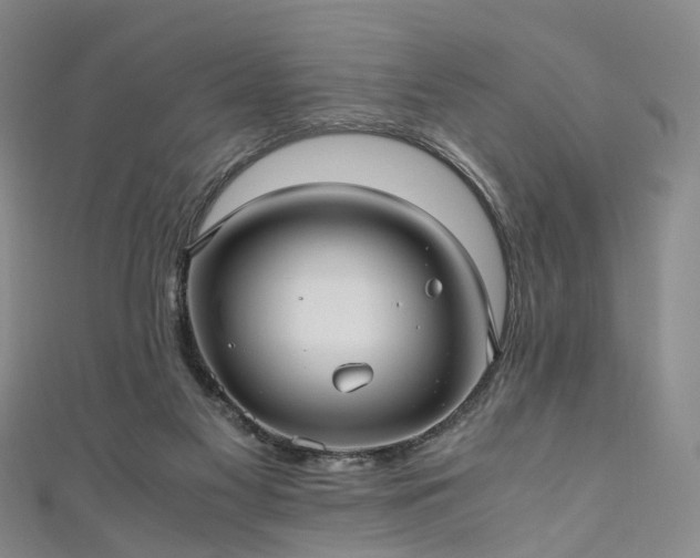 X0000111010117200906261528