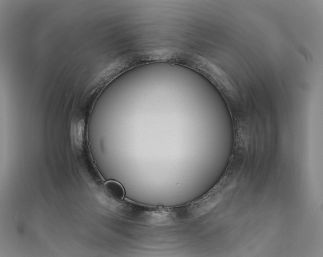 X0000111010118200906261528
