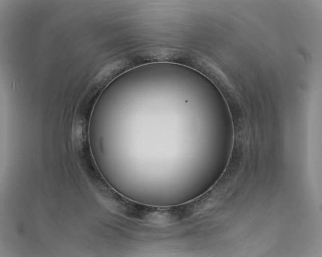 X0000111010119200906261528