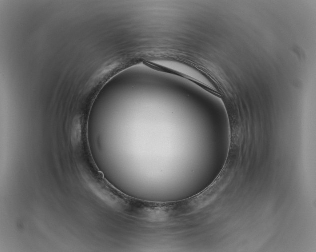 X0000111010120200906261528