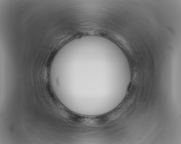 X0000111010121200906261528