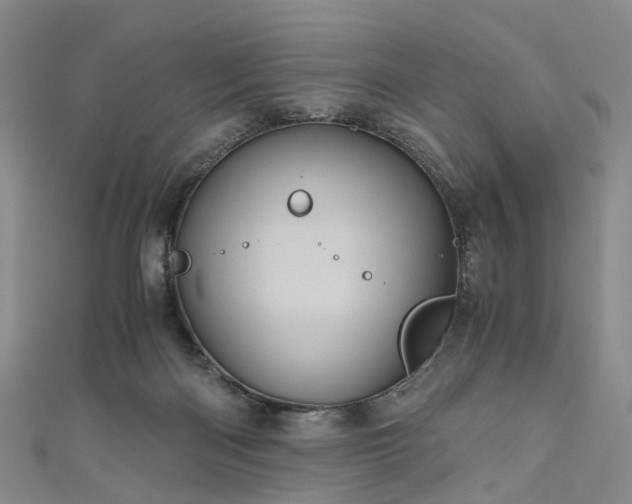 X0000111010122200906261528