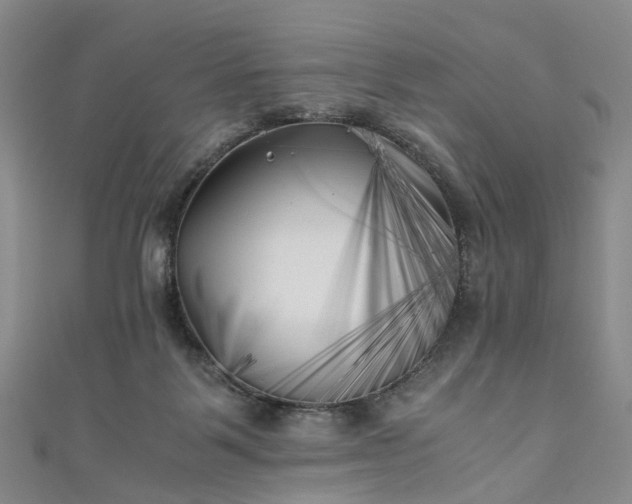 X0000111010123200906261528