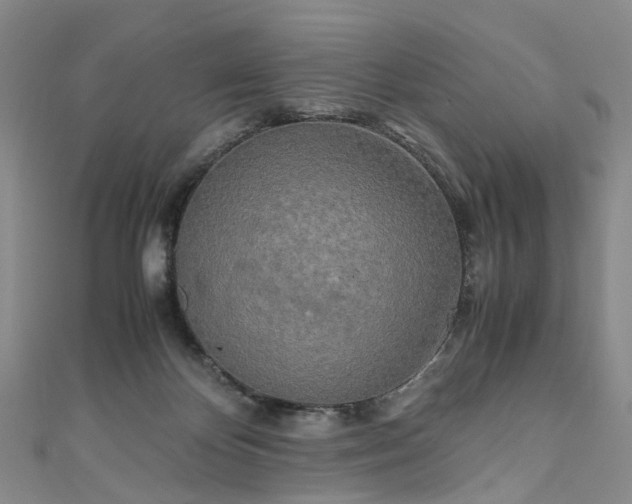 X0000111010124200906261528