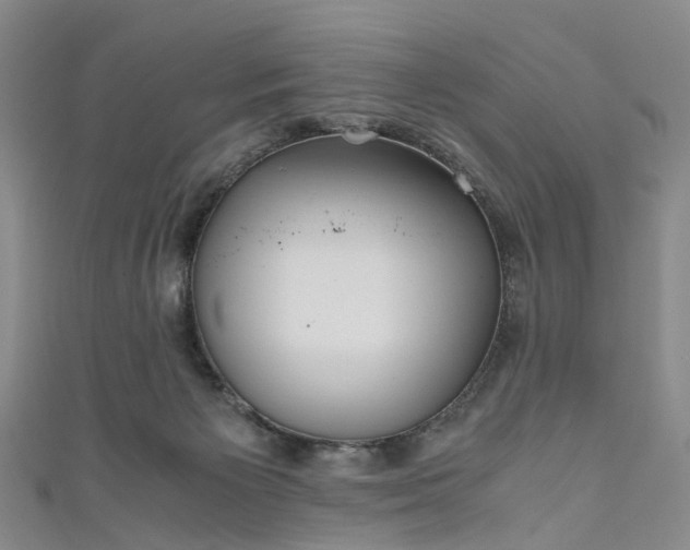 X0000111010125200906261528