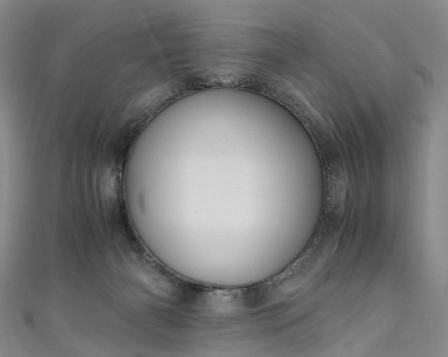 X0000111010126200906261528