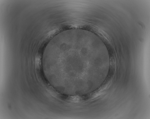 X0000111010127200906261528