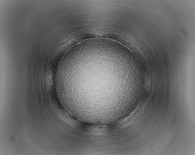 X0000111010128200906261528