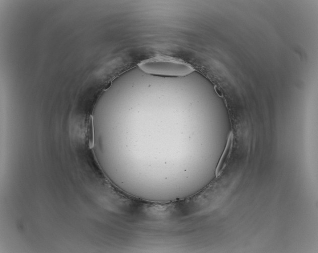 X0000111010129200906261528