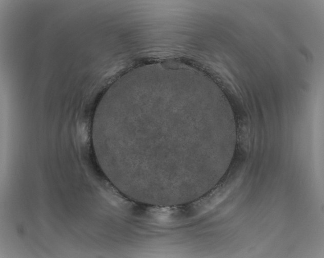 X0000111010131200906261527