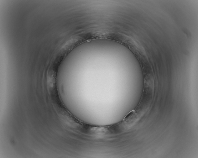 X0000111010133200906261527