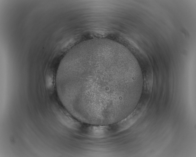 X0000111010134200906261527