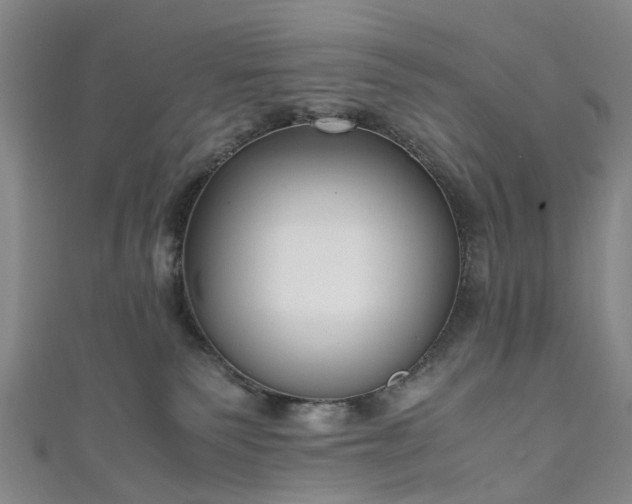 X0000111010135200906261527
