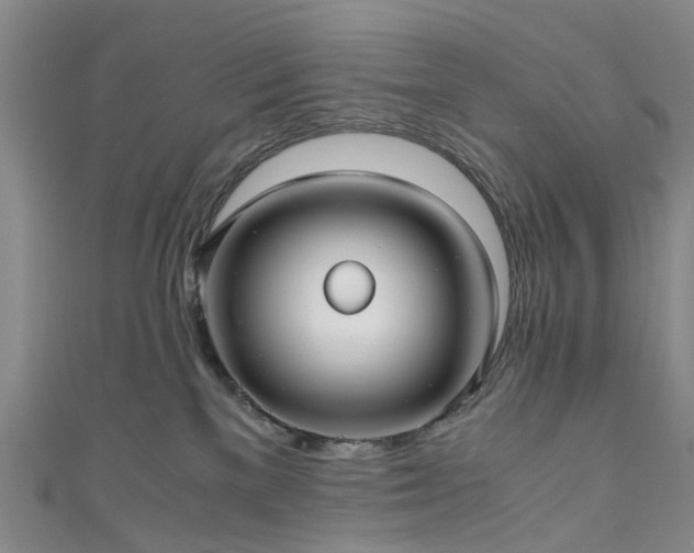 X0000111010137200906261527