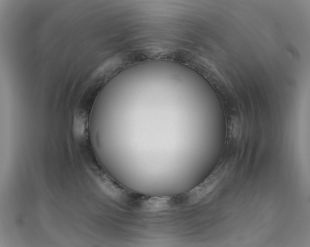 X0000111010138200906261527