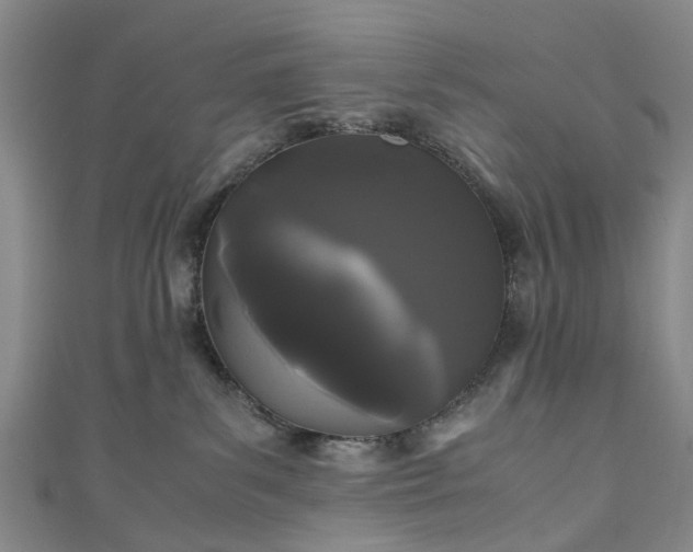 X0000111010139200906261527