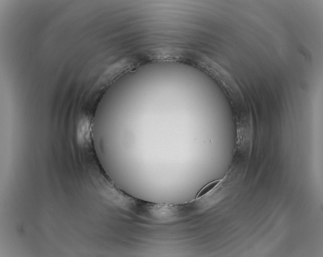 X0000111010142200906261527