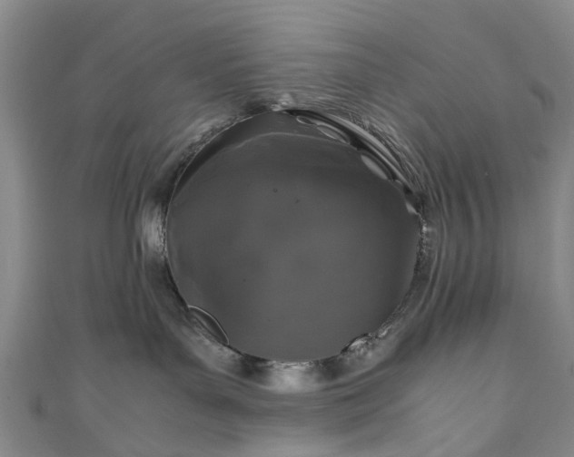 X0000111010143200906261527