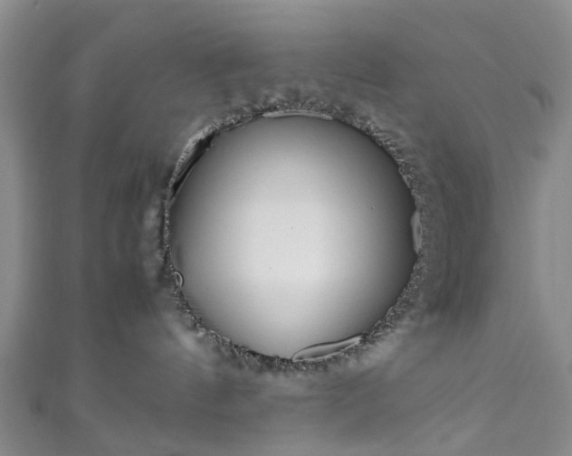 X0000111010144200906261527