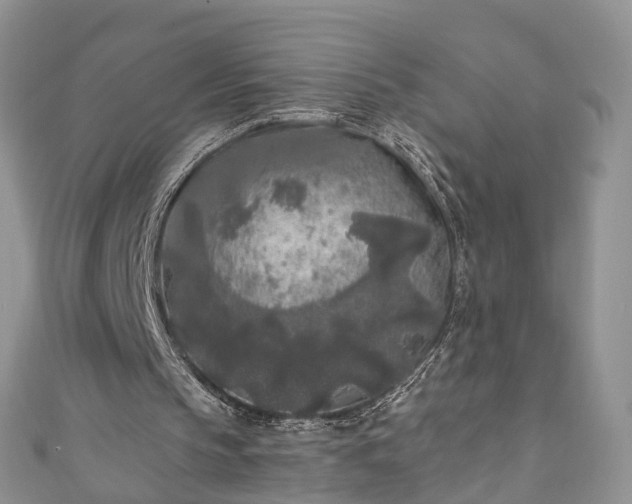 X0000111010145200906261527