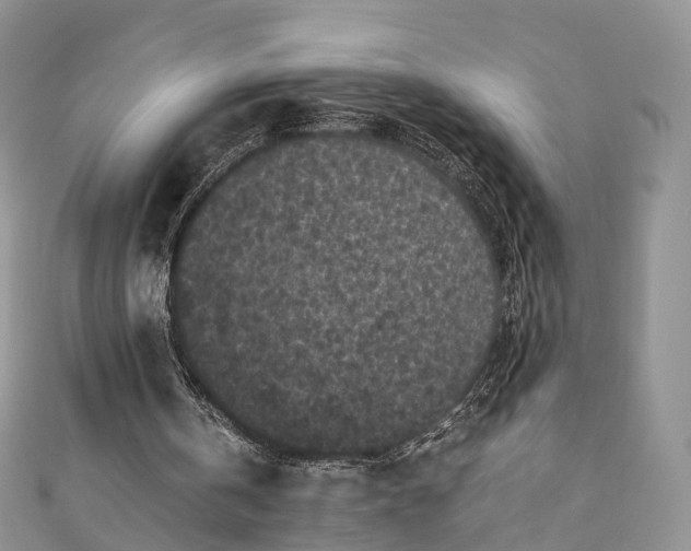 X0000111010146200906261527